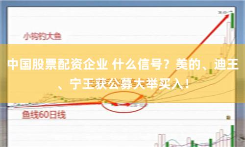 中国股票配资企业 什么信号？美的、迪王、宁王获公募大举买入！