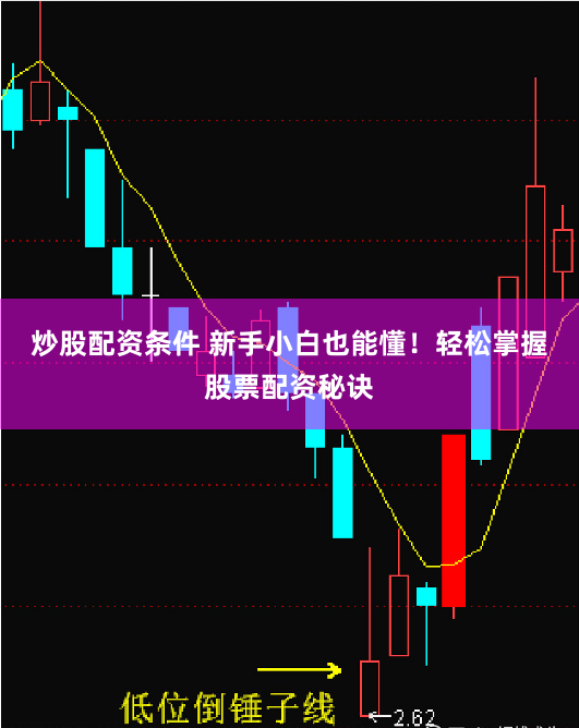 炒股配资条件 新手小白也能懂！轻松掌握股票配资秘诀