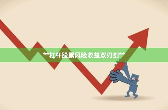 **杠杆股票风险收益双刃剑**